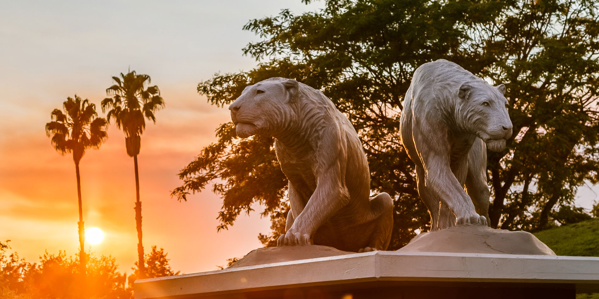 sunset at the entrance