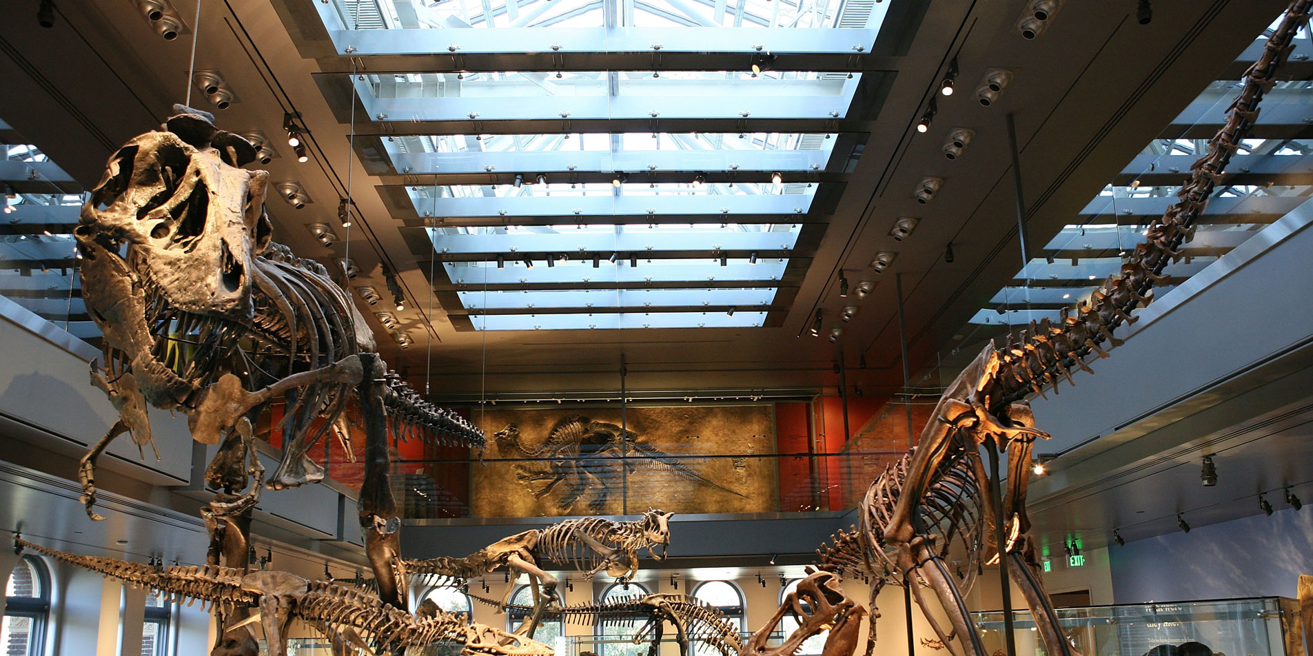 skeletons of prehistoric life