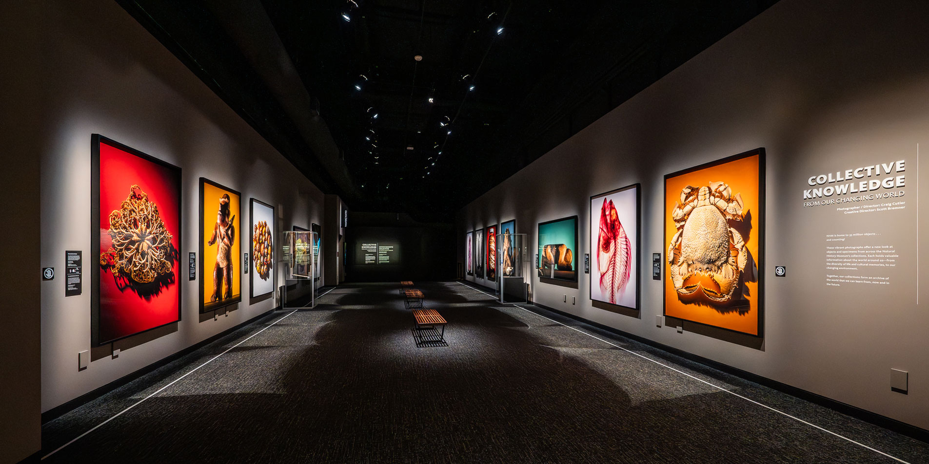 inside the museum with informational art