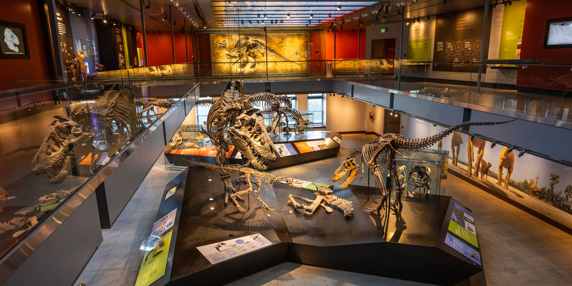 museum interor with a skeletoral display of prehistoric life