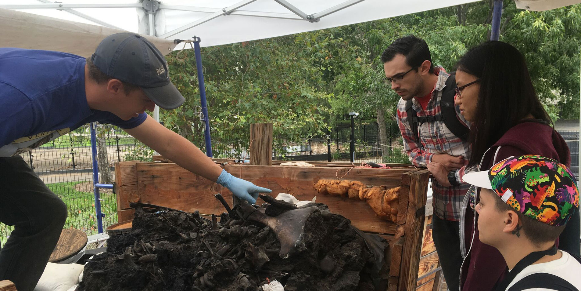 tar pits workshop