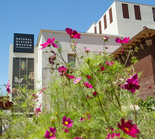 museum exterior